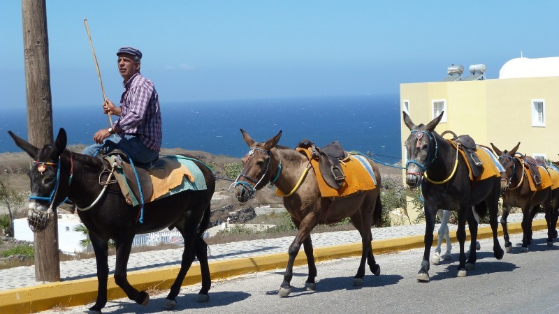 GRECIA, SANTORINI: LA VITICOLTURA, I VINI E QUALCHE DRITTA UTILE