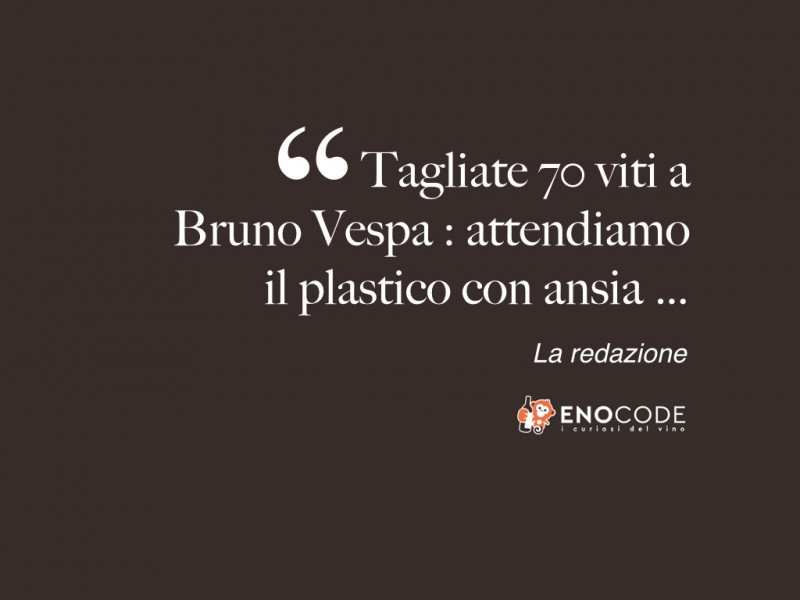 Tagliate 70 viti a Bruno Vespa:attendiamo  il plastico con ansia 