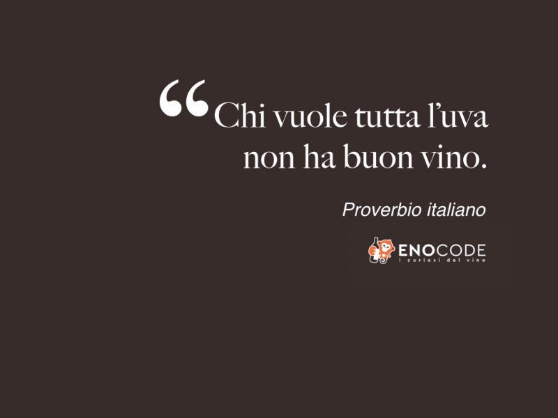 Chi vuole tutta l'uva non ha buon vino   Proverbio italiano 