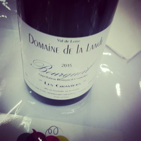 LES GRAVIERS 2015 di Domaine De La Lande - Bourgueil