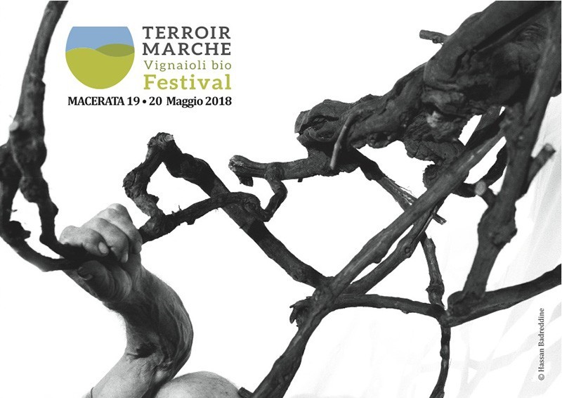 TERROIR MARCHE FESTIVAL 2018: TORNA IL FESTIVAL DEI VIGNAIOLI BIO MARCHIGIANI