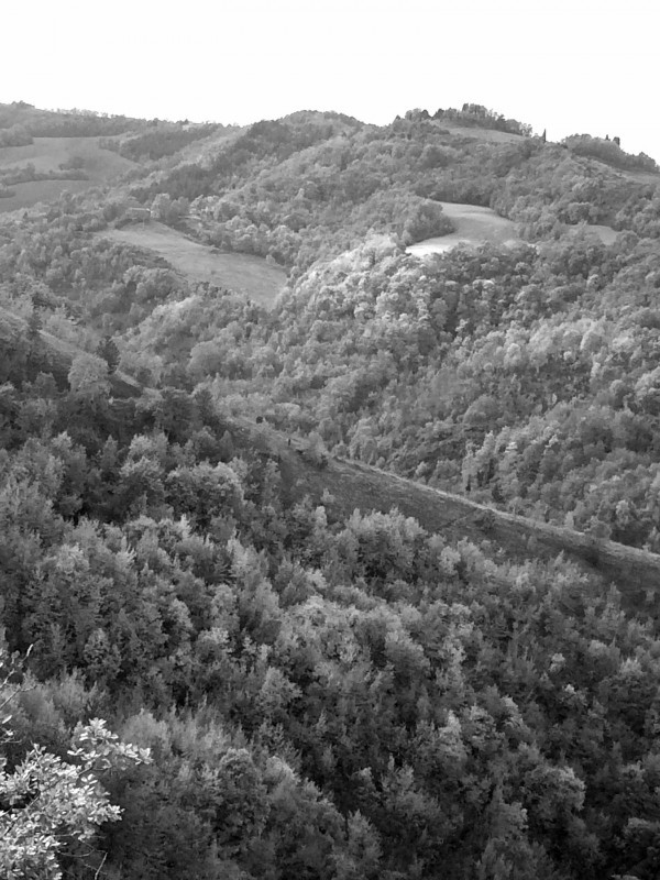 MODIGLIANA, STELLA DELL'APPENNINO 